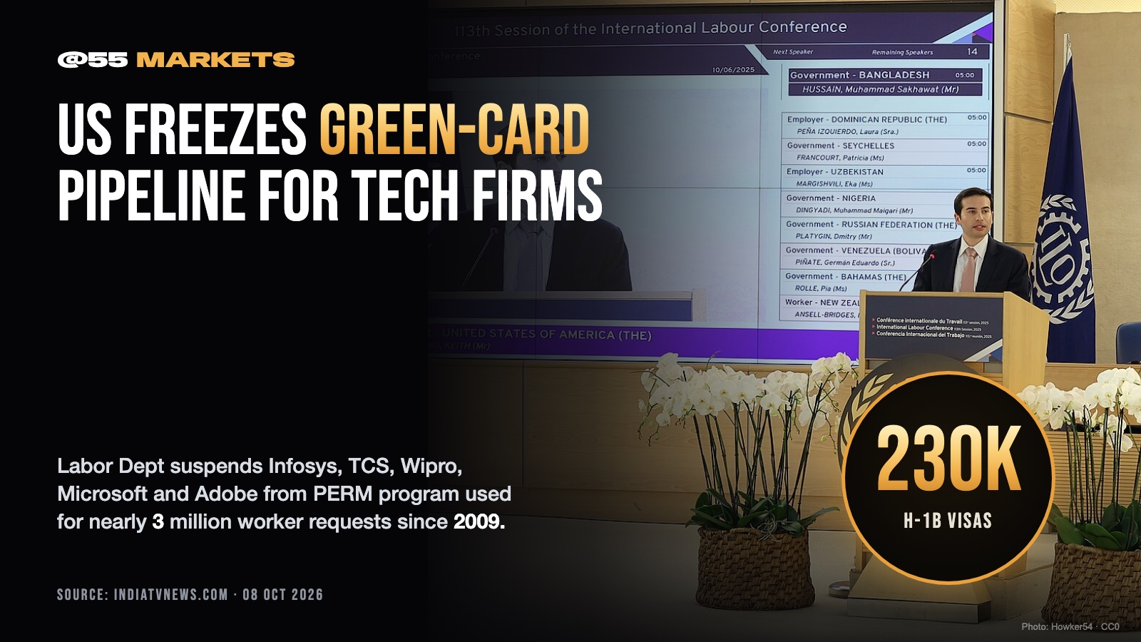 US SUSPENDS EIGHT IT FIRMS FROM GREEN-CARD PROGRAM