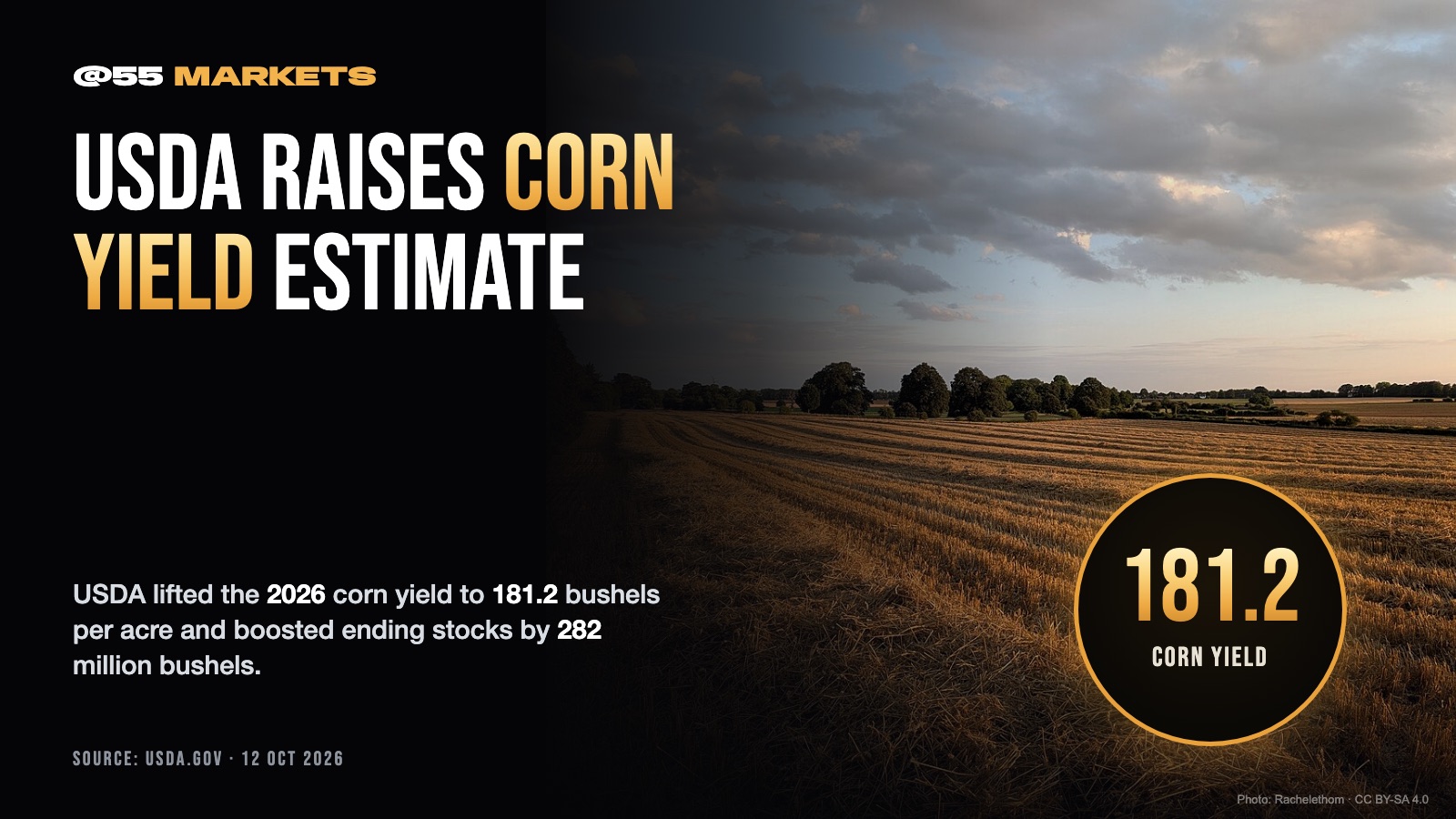 USDA SHOCKS CORN MARKET WITH SURPRISE SUPPLY BOOST