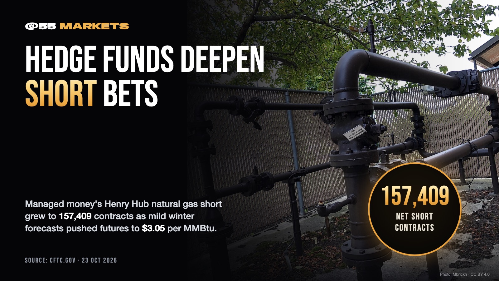 HEDGE FUNDS DEEPEN NATURAL GAS SHORT BETS